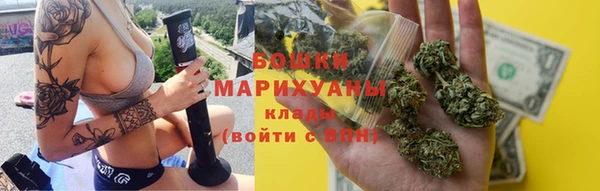 мдпв Вяземский