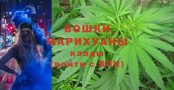 мдпв Вяземский