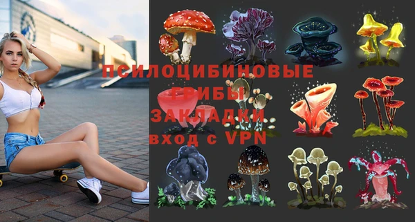 мдпв Вяземский